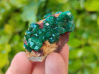 Natural Small Dioptase Crystals  with Malachite on Dolomite Matrix Specimens x 12 From Likasi, Congo - Toprock Gemstones and Minerals 