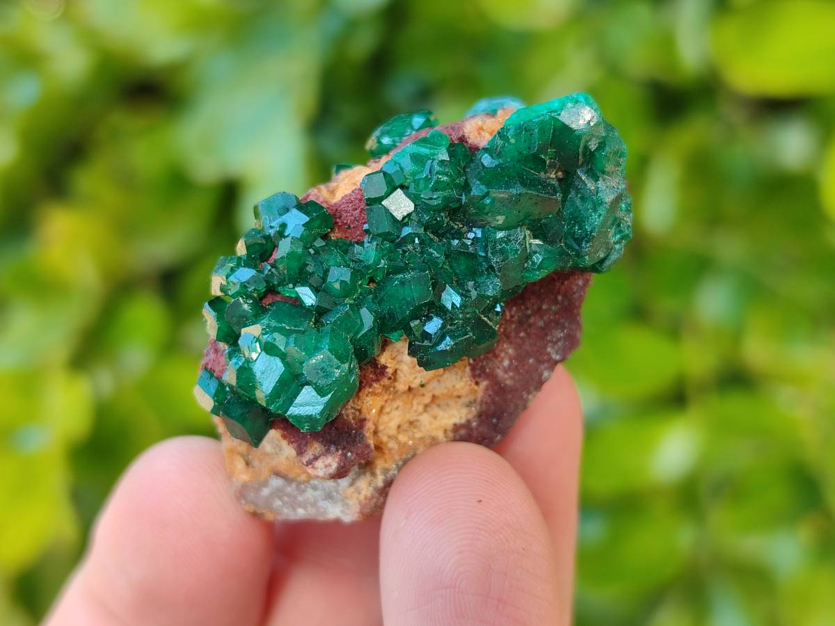 Natural Small Dioptase Crystals  with Malachite on Dolomite Matrix Specimens x 12 From Likasi, Congo - Toprock Gemstones and Minerals 