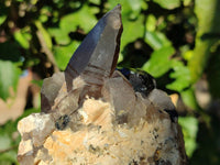 Natural Schorl Black Tourmaline, Smokey Quartz and Feldspar Specimens x 2 From Erongo, Namibia - Toprock Gemstones and Minerals 