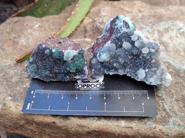 Natural Drusy Quartz coated Ball Malachite On Dolomite Matrix Specimens x 12 From Kambove, Congo