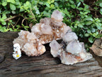 Natural Smokey Limonite Coated Phantom Spirit Quartz Clusters x 3 From Boekenhouthoek, South Africa - Toprock Gemstones and Minerals 