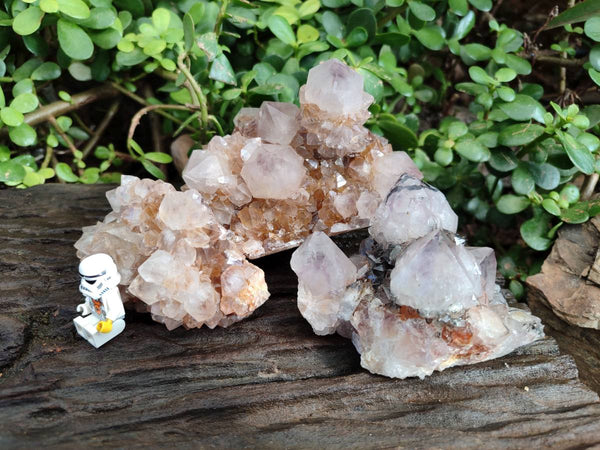 Natural Smokey Limonite Coated Phantom Spirit Quartz Clusters x 3 From Boekenhouthoek, South Africa - Toprock Gemstones and Minerals 