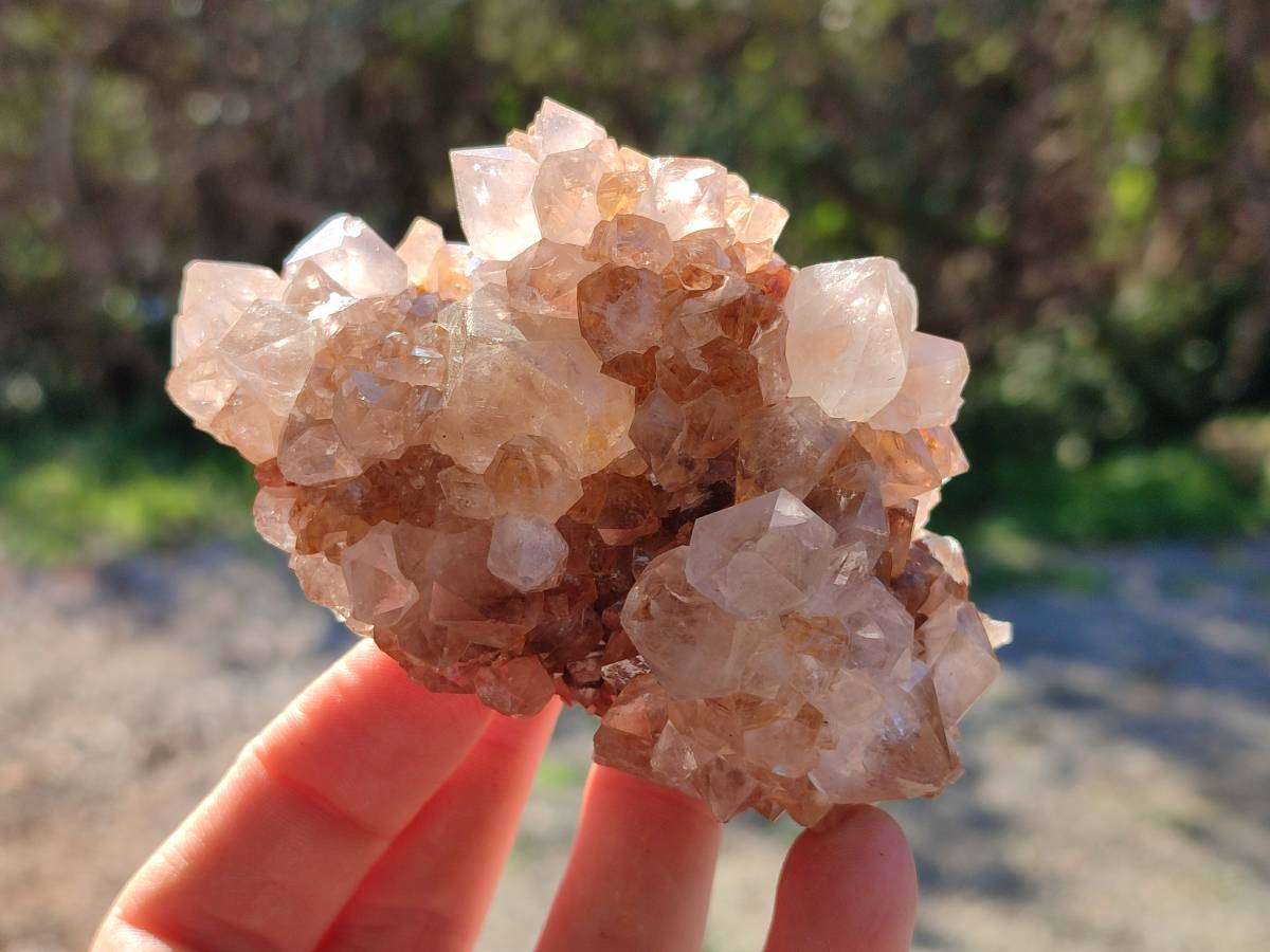 Natural Smokey Limonite Coated Phantom Spirit Quartz Clusters x 3 From Boekenhouthoek, South Africa - Toprock Gemstones and Minerals 