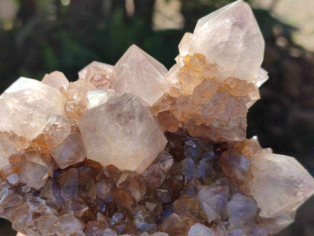 Natural Smokey Limonite Coated Phantom Spirit Quartz Clusters x 3 From Boekenhouthoek, South Africa - Toprock Gemstones and Minerals 