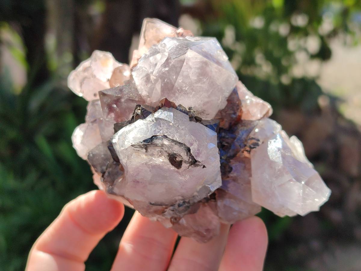Natural Smokey Limonite Coated Phantom Spirit Quartz Clusters x 3 From Boekenhouthoek, South Africa - Toprock Gemstones and Minerals 