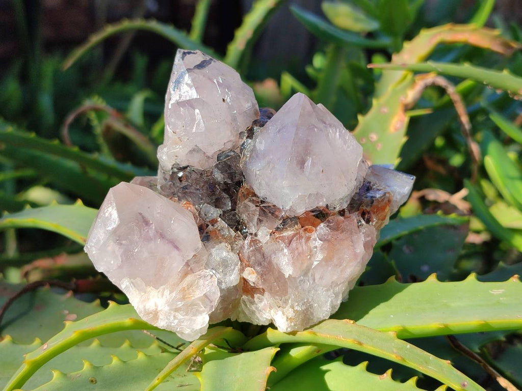Natural Smokey Limonite Coated Phantom Spirit Quartz Clusters x 3 From Boekenhouthoek, South Africa - Toprock Gemstones and Minerals 