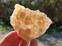 Natural Golden Limonite Quartz Clusters x 24 From Solwezi, Zambia - Toprock Gemstones and Minerals 