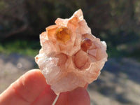 Natural Golden Limonite Quartz Clusters x 24 From Solwezi, Zambia - Toprock Gemstones and Minerals 