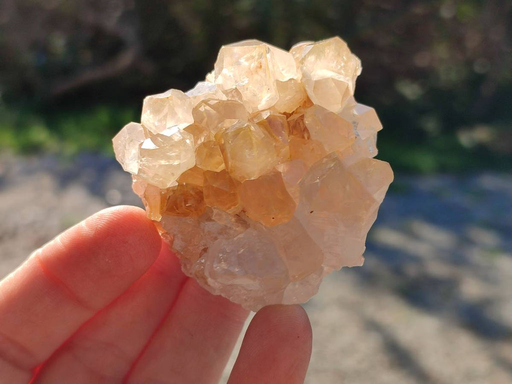 Natural Golden Limonite Quartz Clusters x 24 From Solwezi, Zambia - Toprock Gemstones and Minerals 