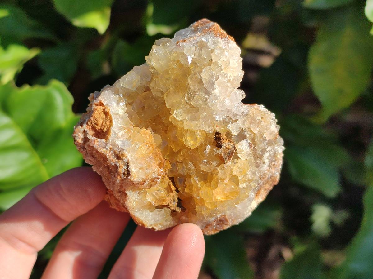 Natural Golden Limonite Quartz Clusters x 24 From Solwezi, Zambia - Toprock Gemstones and Minerals 