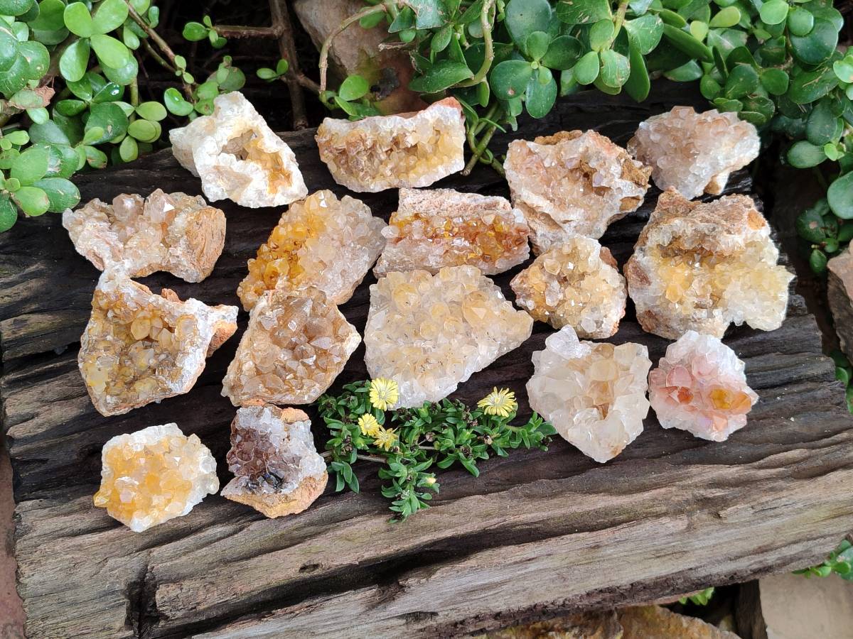 Natural Golden Limonite Quartz Clusters x 24 From Solwezi, Zambia - Toprock Gemstones and Minerals 