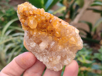 Natural Golden Limonite Quartz Clusters x 24 From Solwezi, Zambia - Toprock Gemstones and Minerals 