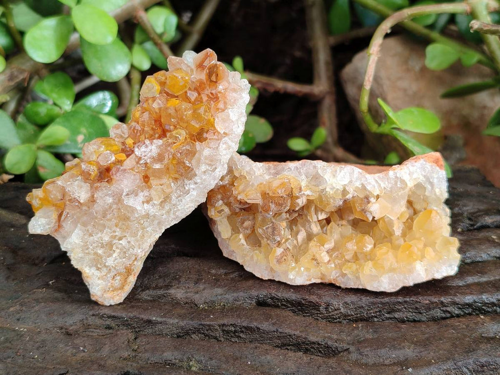 Natural Golden Limonite Quartz Clusters x 24 From Solwezi, Zambia - Toprock Gemstones and Minerals 