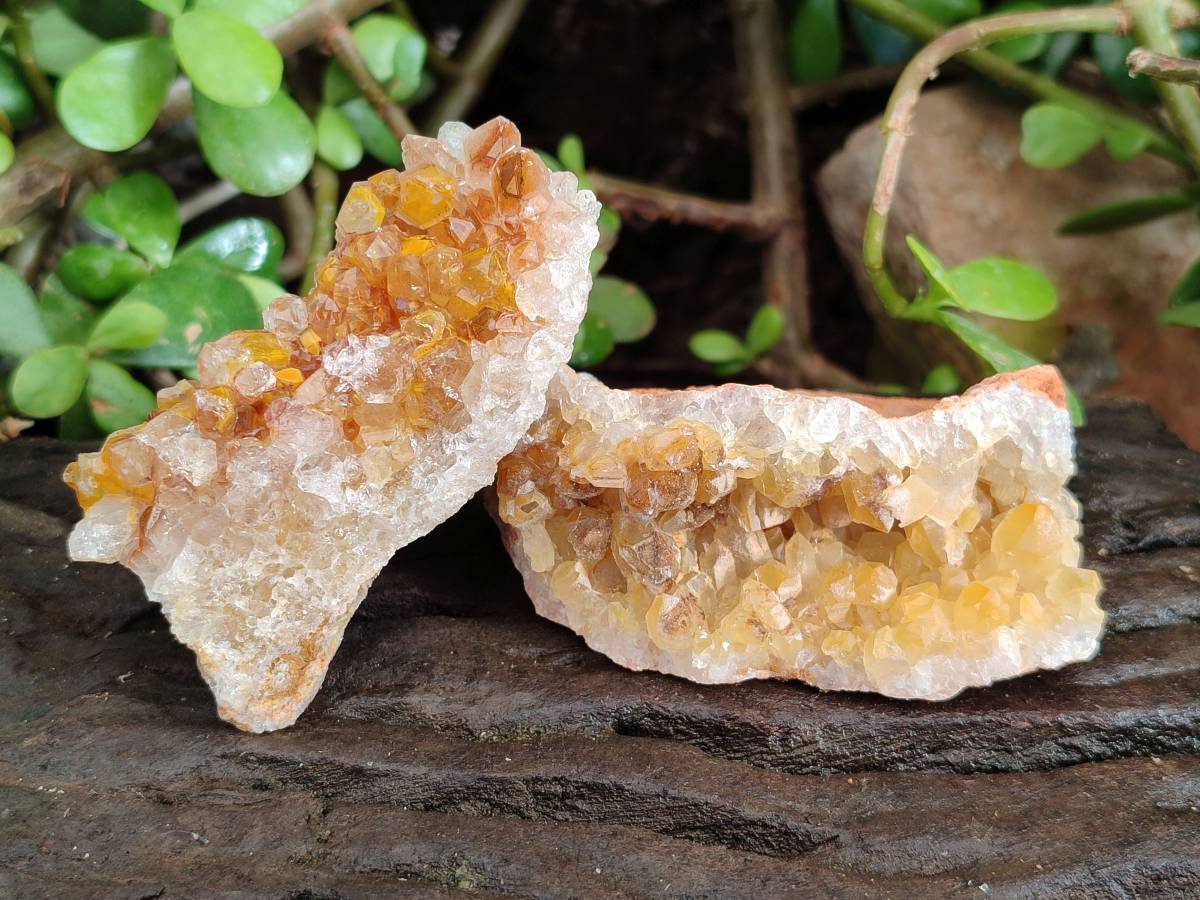 Natural Golden Limonite Quartz Clusters x 24 From Solwezi, Zambia - Toprock Gemstones and Minerals 