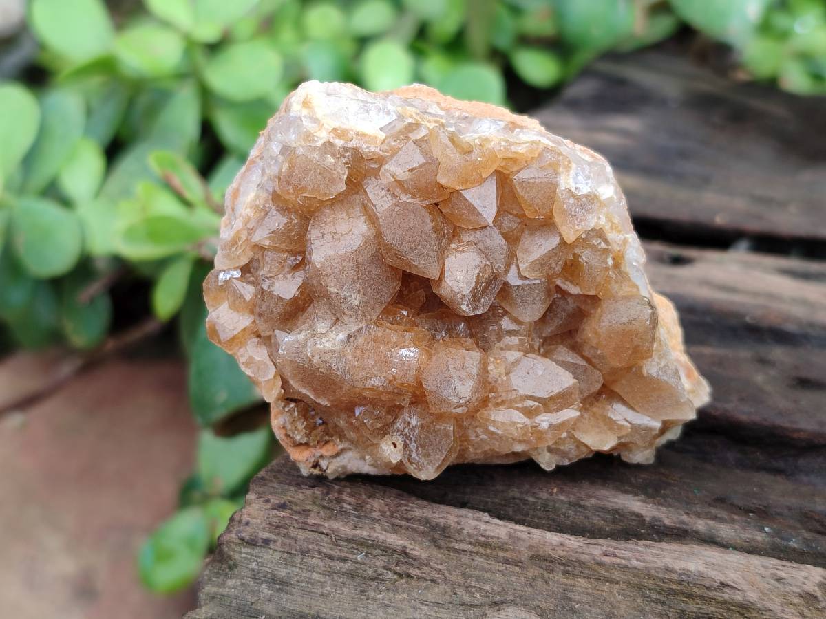 Natural Golden Limonite Quartz Clusters x 24 From Solwezi, Zambia - Toprock Gemstones and Minerals 