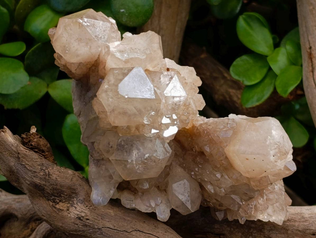Natural Smokey Phantom Quartz Clusters x 3 From Luena, Congo - Toprock Gemstones and Minerals 