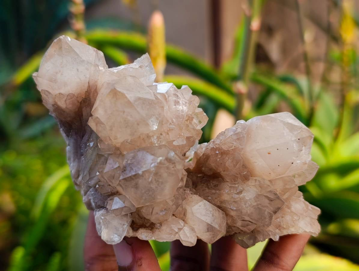 Natural Smokey Phantom Quartz Clusters x 3 From Luena, Congo - Toprock Gemstones and Minerals 