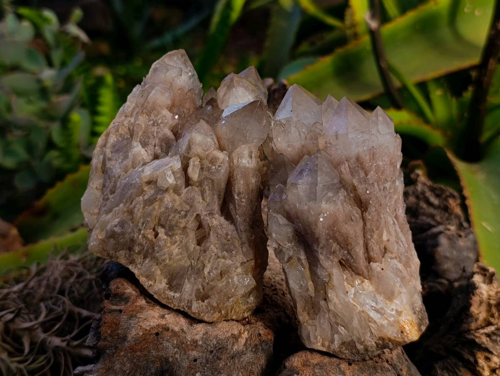 Natural Smokey Phantom Quartz Clusters x 3 From Luena, Congo - Toprock Gemstones and Minerals 