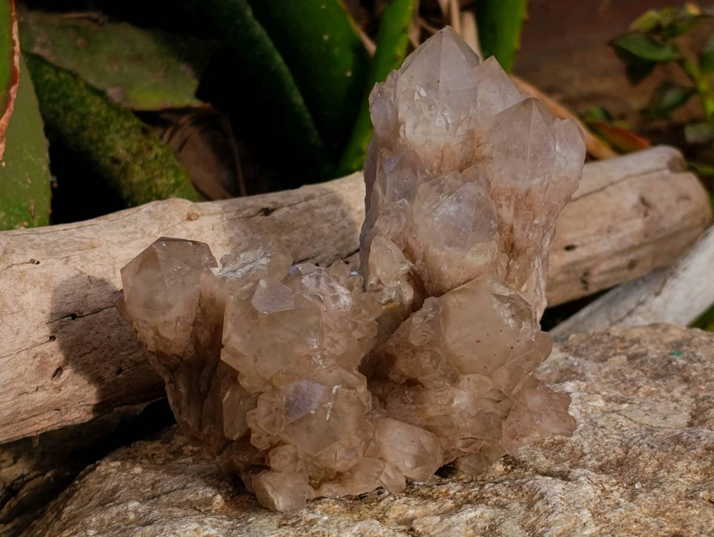 Natural Smokey Phantom Quartz Clusters x 3 From Luena, Congo - Toprock Gemstones and Minerals 
