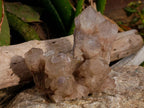 Natural Smokey Phantom Quartz Clusters x 3 From Luena, Congo - Toprock Gemstones and Minerals 