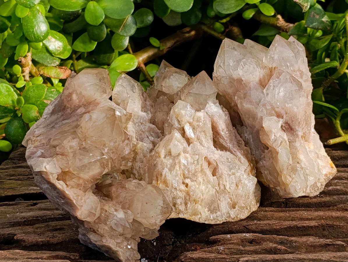 Natural Smokey Phantom Quartz Clusters x 3 From Luena, Congo - Toprock Gemstones and Minerals 