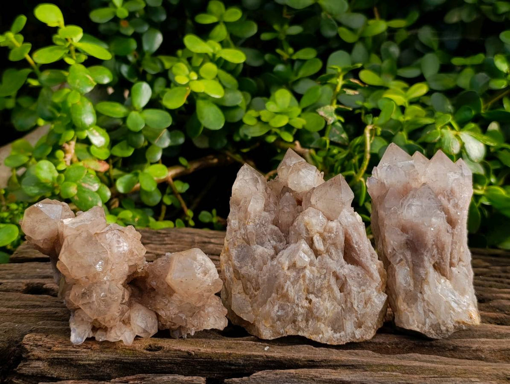 Natural Smokey Phantom Quartz Clusters x 3 From Luena, Congo - Toprock Gemstones and Minerals 
