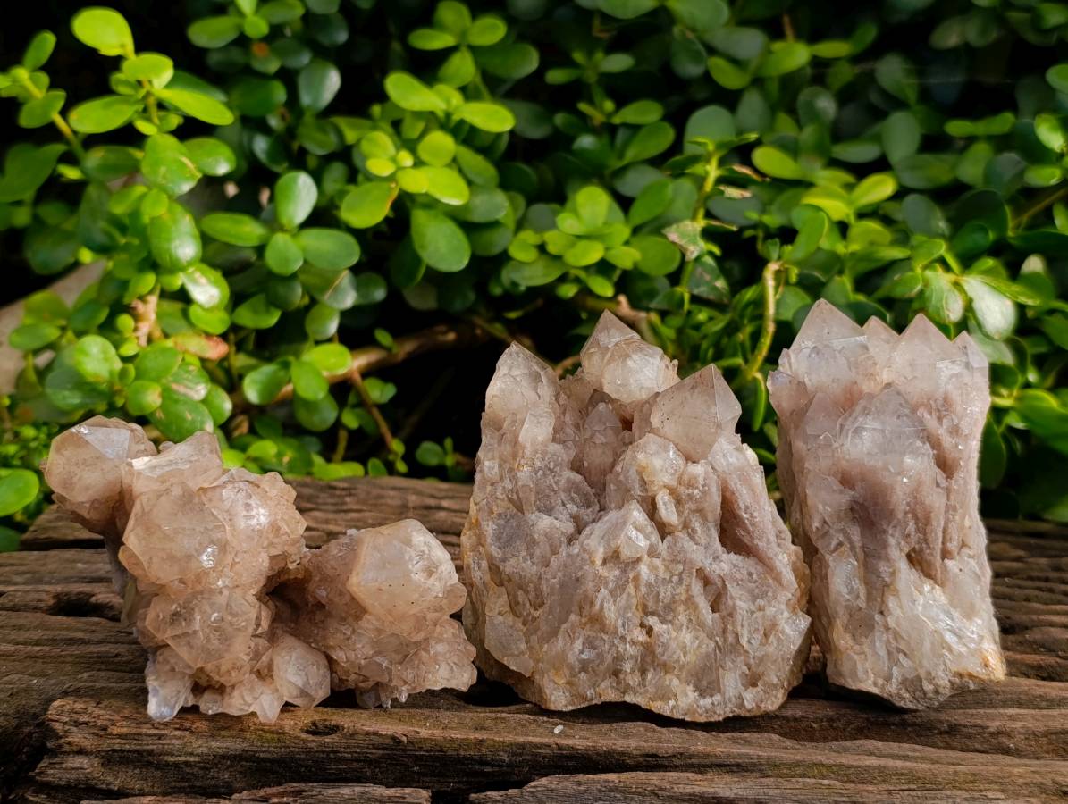 Natural Smokey Phantom Quartz Clusters x 3 From Luena, Congo - Toprock Gemstones and Minerals 