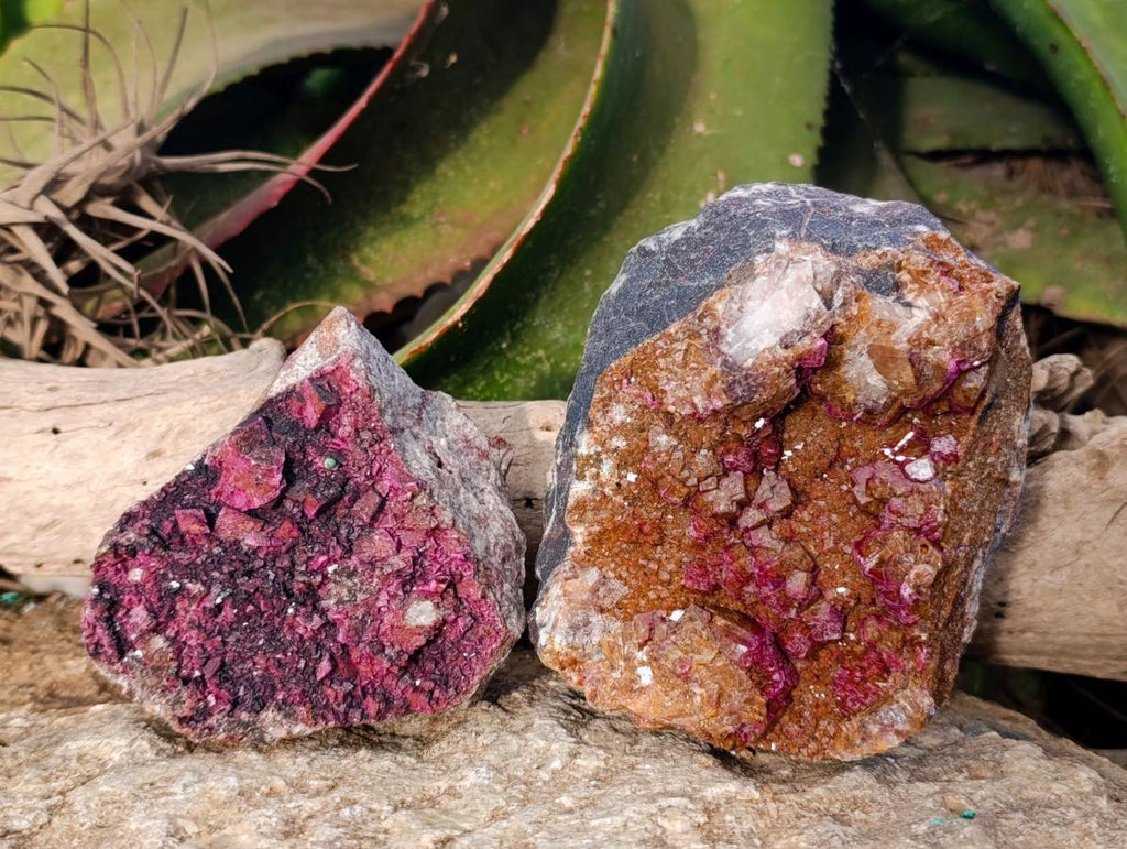 Natural Salrose Cobaltion Dolomite Specimens x 3 From Kakanda, Congo - Toprock Gemstones and Minerals 