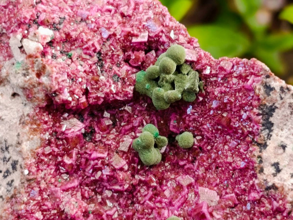Natural Salrose Cobaltion Dolomite Specimens x 3 From Kakanda, Congo - Toprock Gemstones and Minerals 