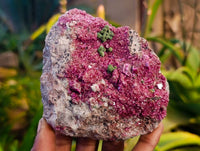 Natural Salrose Cobaltion Dolomite Specimens x 3 From Kakanda, Congo - Toprock Gemstones and Minerals 
