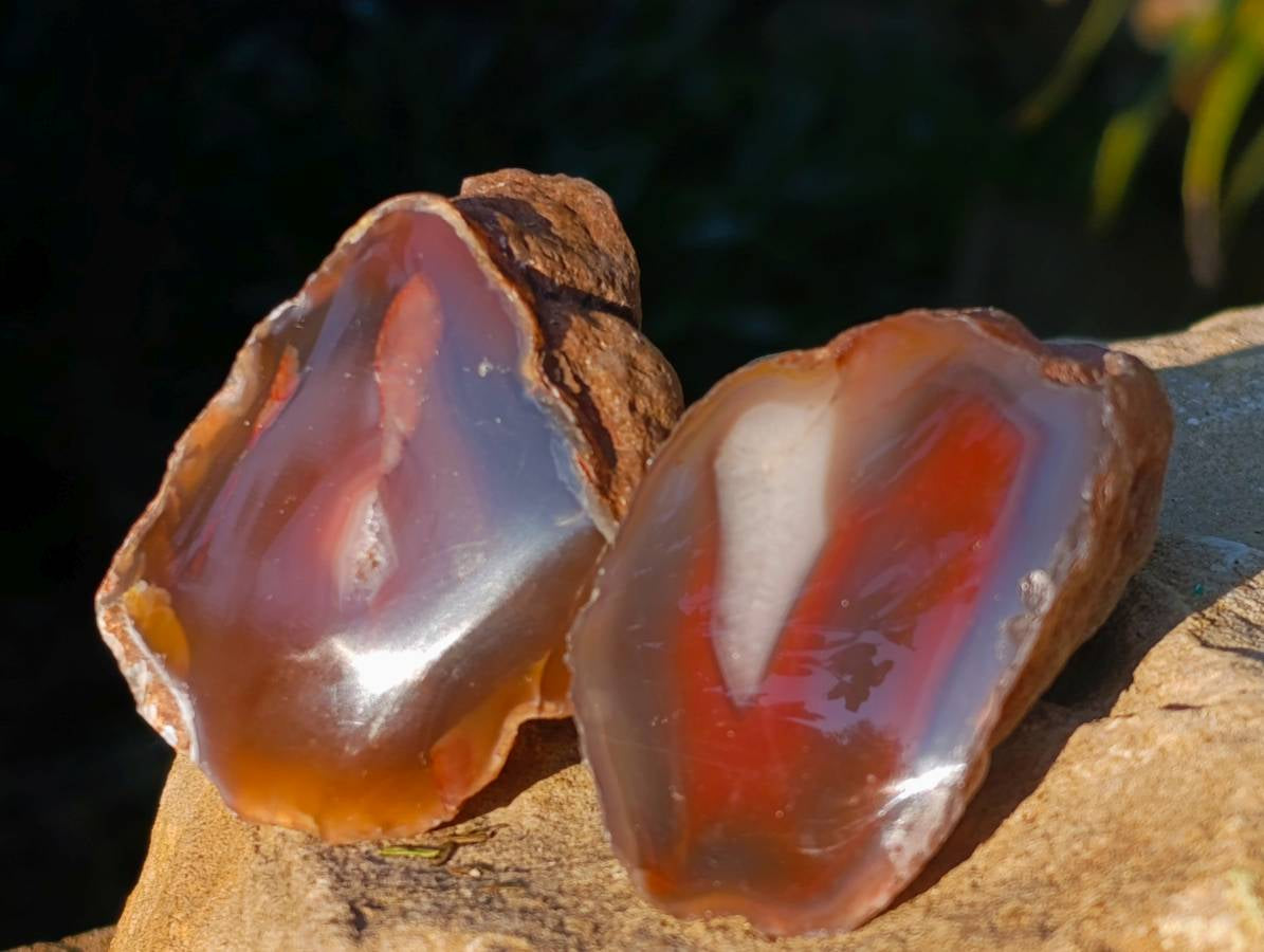 Polished On One Side Red Sashe River Agate Nodules x 12 From Zimbabwe - Toprock Gemstones and Minerals 