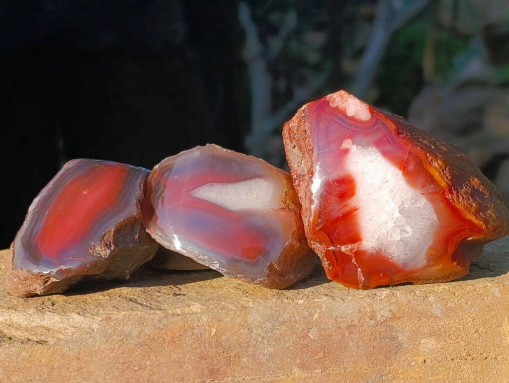 Polished On One Side Red Sashe River Agate Nodules x 12 From Zimbabwe - Toprock Gemstones and Minerals 