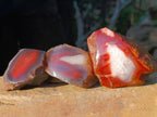 Polished On One Side Red Sashe River Agate Nodules x 12 From Zimbabwe - Toprock Gemstones and Minerals 
