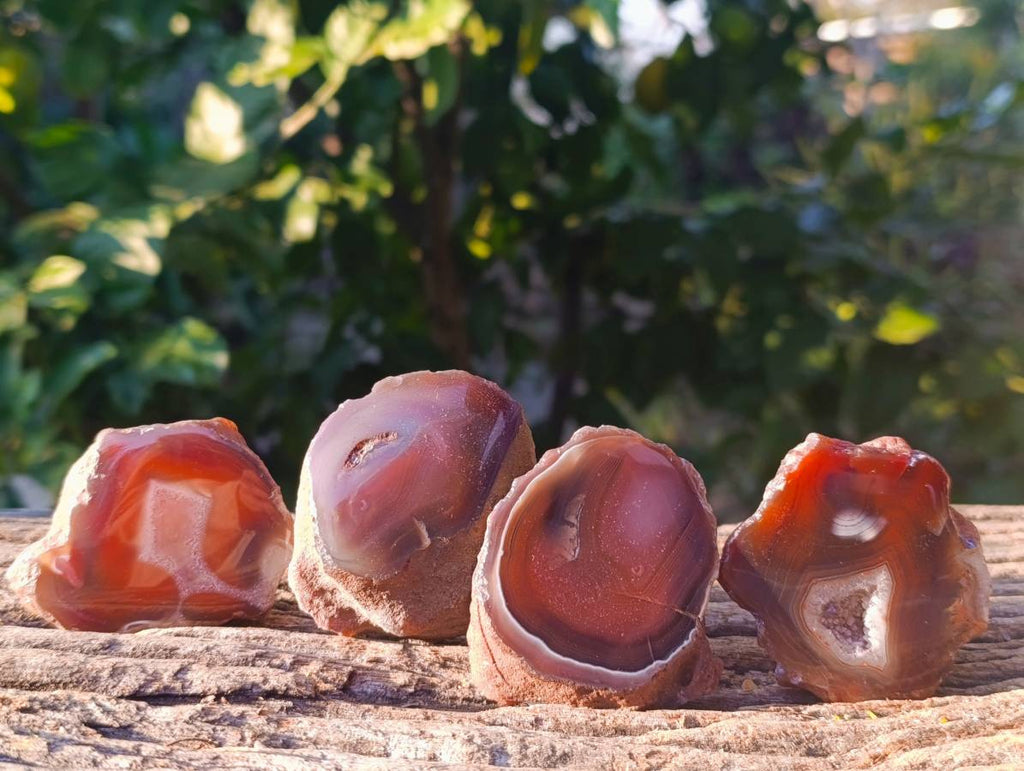 Polished On One Side Red Sashe River Agate Nodules x 12 From Zimbabwe - Toprock Gemstones and Minerals 