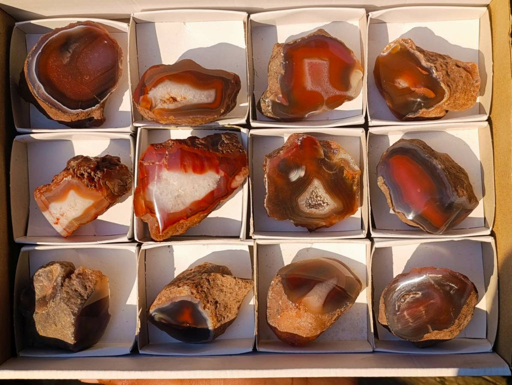 Polished On One Side Red Sashe River Agate Nodules x 12 From Zimbabwe - Toprock Gemstones and Minerals 