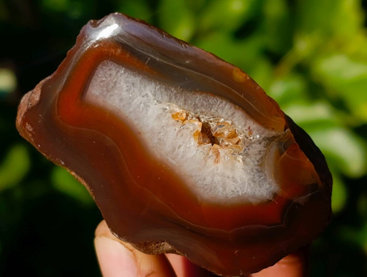 Polished On One Side Red Sashe River Agate Nodules x 12 From Zimbabwe - Toprock Gemstones and Minerals 
