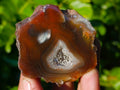 Polished On One Side Red Sashe River Agate Nodules x 12 From Zimbabwe - Toprock Gemstones and Minerals 