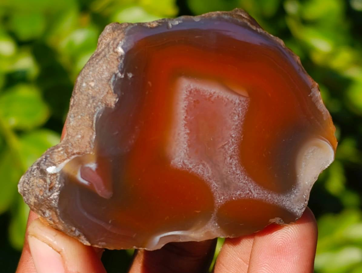 Polished On One Side Red Sashe River Agate Nodules x 12 From Zimbabwe - Toprock Gemstones and Minerals 