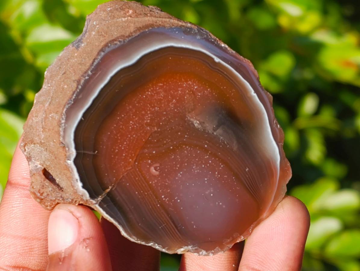 Polished On One Side Red Sashe River Agate Nodules x 12 From Zimbabwe - Toprock Gemstones and Minerals 