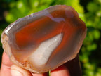 Polished On One Side Red Sashe River Agate Nodules x 12 From Zimbabwe - Toprock Gemstones and Minerals 