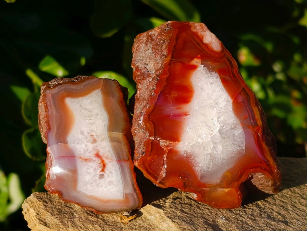 Polished On One Side Red Sashe River Agate Nodules x 12 From Zimbabwe - Toprock Gemstones and Minerals 