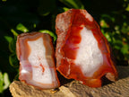 Polished On One Side Red Sashe River Agate Nodules x 12 From Zimbabwe - Toprock Gemstones and Minerals 