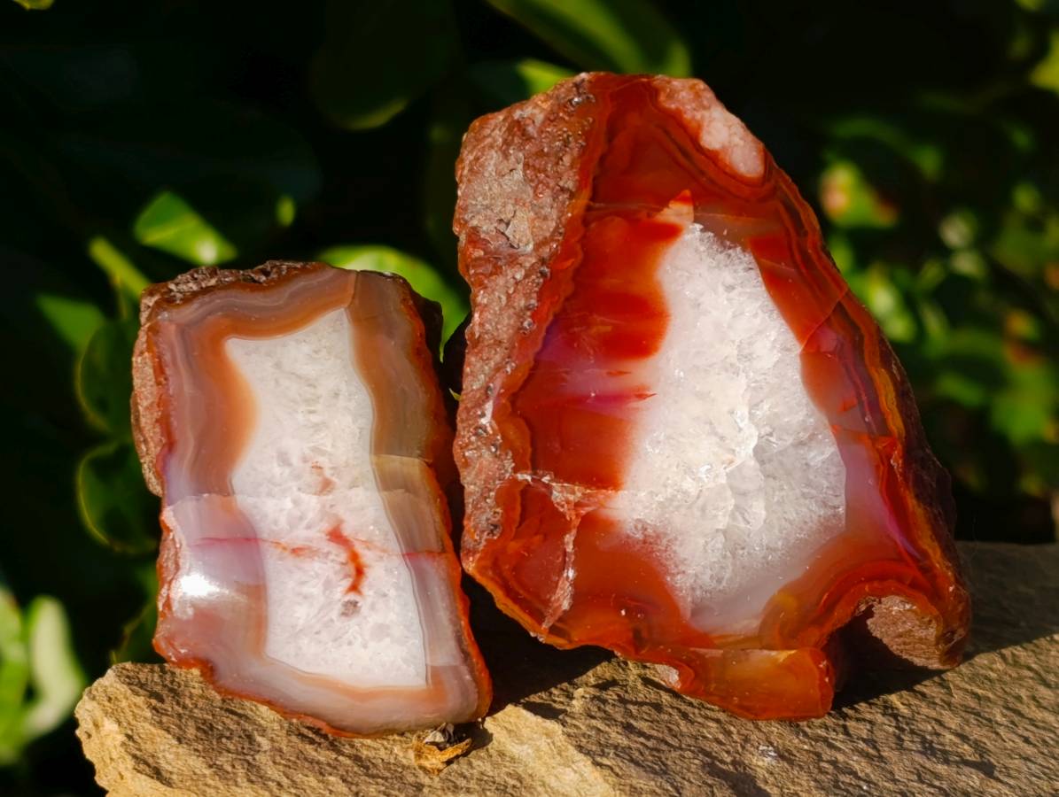 Polished On One Side Red Sashe River Agate Nodules x 12 From Zimbabwe - Toprock Gemstones and Minerals 