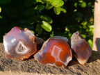 Polished On One Side Red Sashe River Agate Nodules x 12 From Zimbabwe - Toprock Gemstones and Minerals 