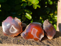 Polished On One Side Red Sashe River Agate Nodules x 12 From Zimbabwe - Toprock Gemstones and Minerals 