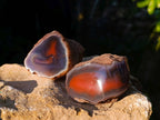 Polished On One Side Red Sashe River Agate Nodules x 12 From Zimbabwe - Toprock Gemstones and Minerals 