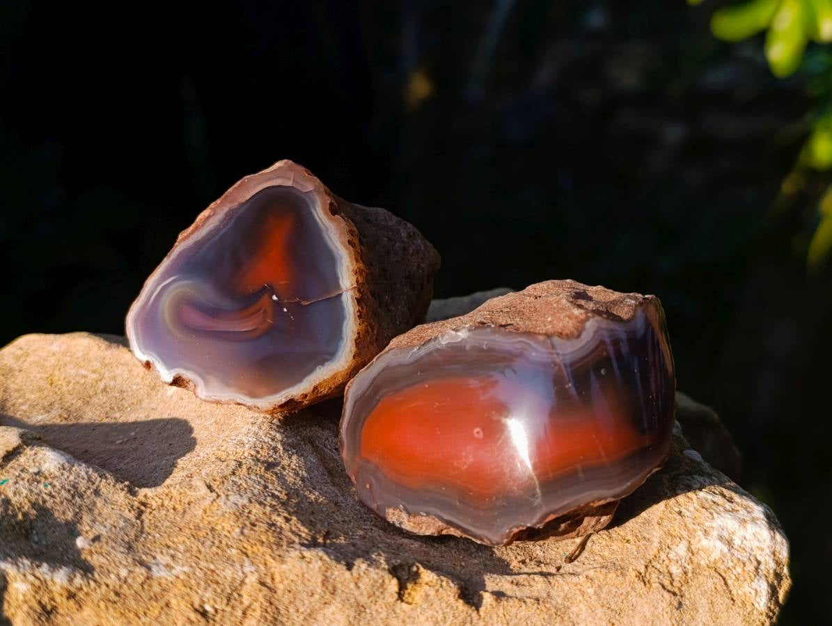 Polished On One Side Red Sashe River Agate Nodules x 12 From Zimbabwe - Toprock Gemstones and Minerals 