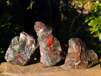 Natural Cobbed Bloodstone Specimens x 6 From Swaziland - Toprock Gemstones and Minerals 