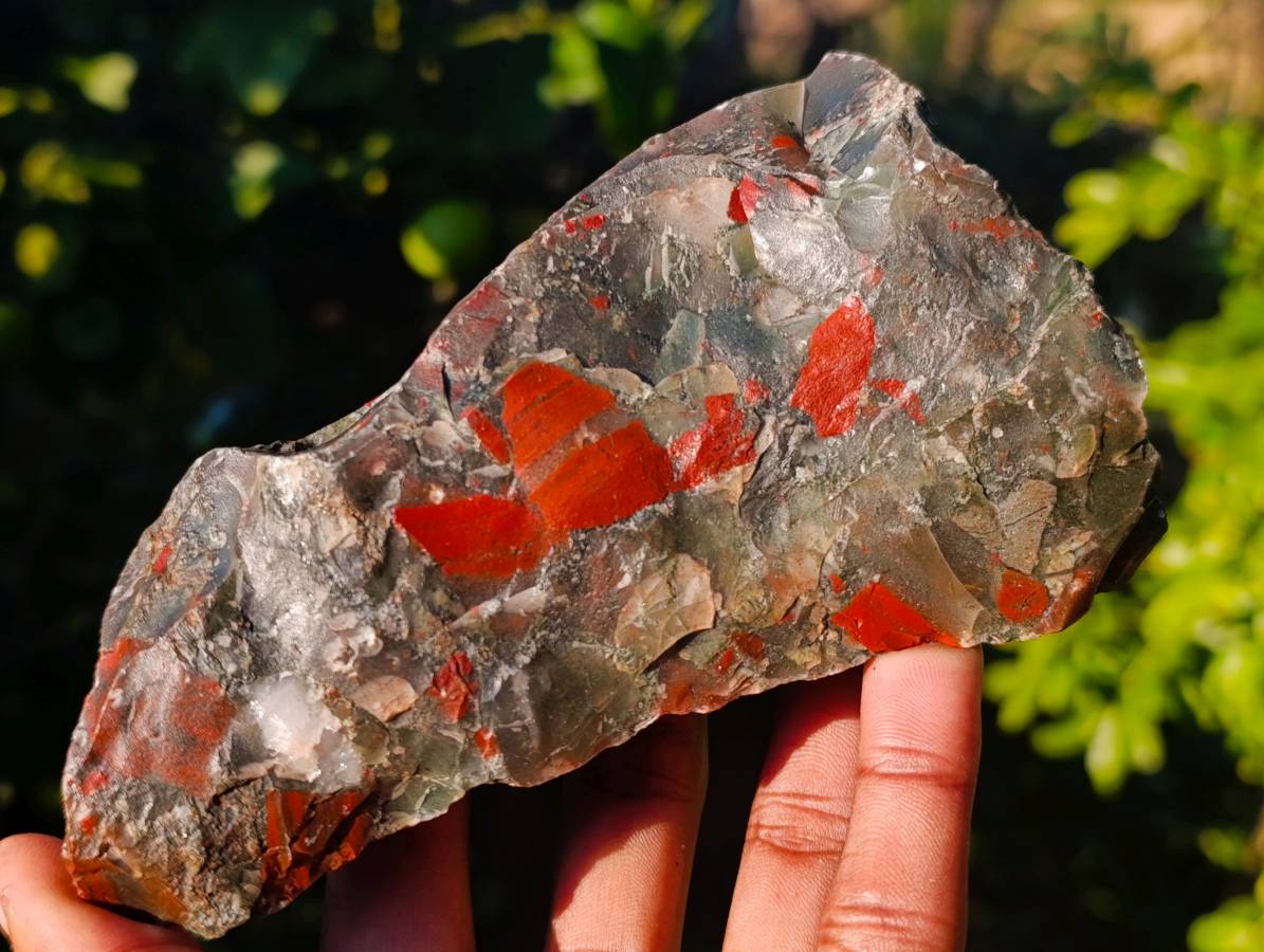Natural Cobbed Bloodstone Specimens x 6 From Swaziland - Toprock Gemstones and Minerals 