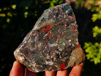 Natural Cobbed Bloodstone Specimens x 6 From Swaziland - Toprock Gemstones and Minerals 
